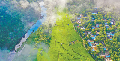 生态乡村 &nbsp;绿意盎然（寻找最美乡村·王下乡）