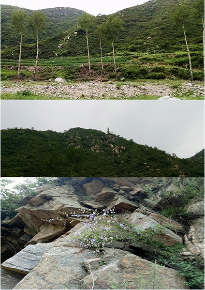 微信图片_20260312120943_723_22.png