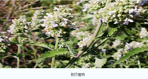 微信图片_20260312120943_722_22.png