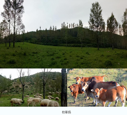 微信图片_20260312120943_724_22.png